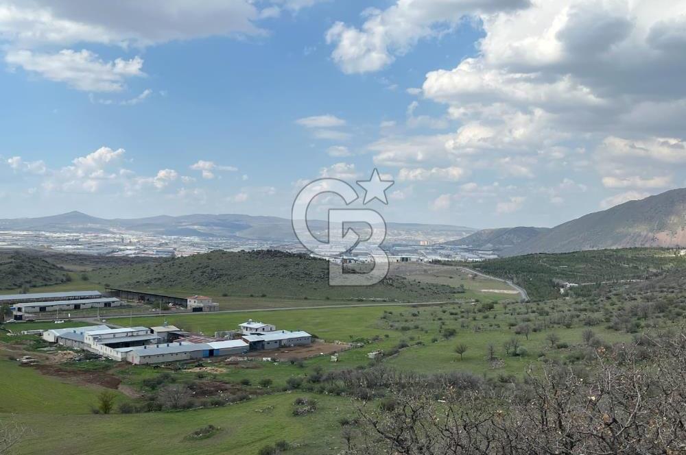 HACILAR BEĞENDİK'TE YATIRIMLIK ,SEYİRLİK TARLA