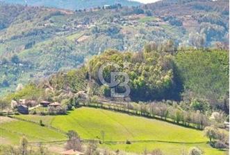 DÜZCE KAYNAŞLI ÇAMOLUK MAHALLESİNDE 1.246 M2 İMARLI SATILIK ARSA
