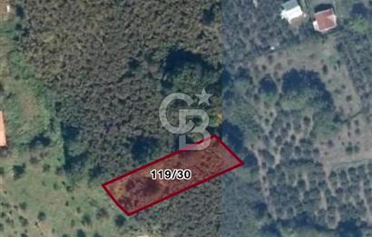 DÜZCE KAYNAŞLI ÇAMOLUK MAHALLESİNDE 1.246 M2 İMARLI SATILIK ARSA