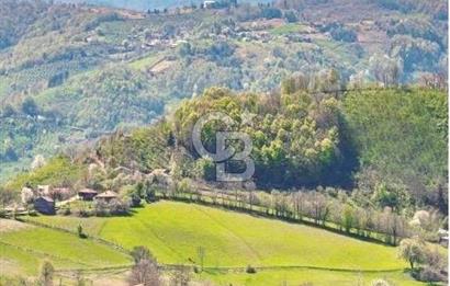 DÜZCE KAYNAŞLI ÇAMOLUK MAHALLESİNDE 1.664 M2 İMARLI SATILIK ARSA
