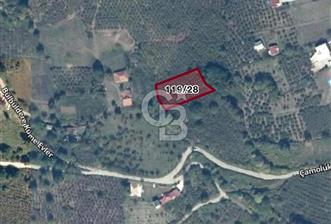 DÜZCE KAYNAŞLI ÇAMOLUK MAHALLESİNDE 1.731 M2 İMARLI SATILIK ARSA Favorilerime Ekle Yazdır