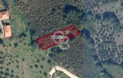 DÜZCE KAYNAŞLI ÇAMOLUK MAHALLESİNDE 1.136 M2 İMARLI SATILIK ARSA