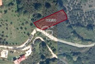 DÜZCE KAYNAŞLI ÇAMOLUK MAHALLESİNDE 2.200 M2 İMARLI SATILIK ARSA