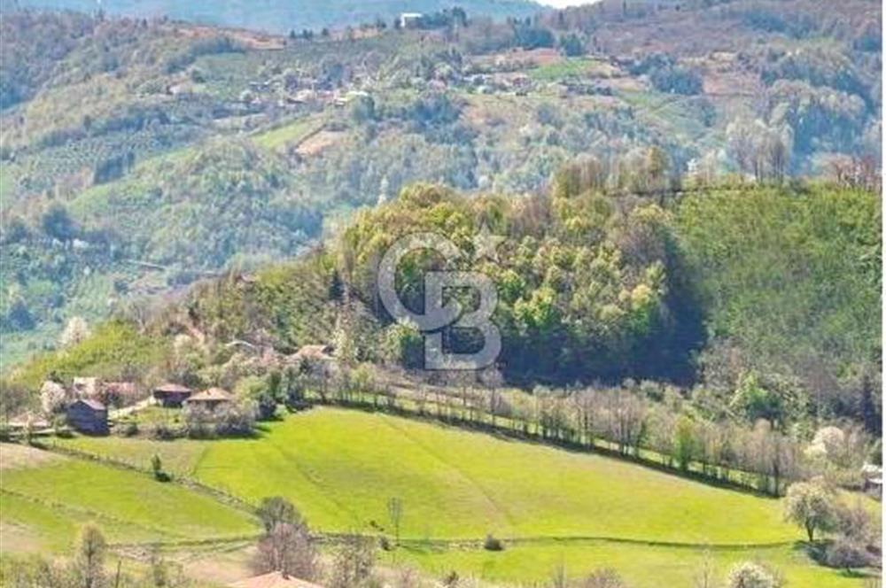 DÜZCE KAYNAŞLI ÇAMOLUK MAHALLESİNDE 1.731 M2 İMARLI SATILIK ARSA Favorilerime Ekle Yazdır