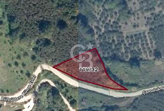 DÜZCE KAYNAŞLI ÇAMOLUK MAHALLESİNDE 1.664 M2 İMARLI SATILIK ARSA