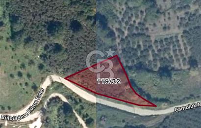 DÜZCE KAYNAŞLI ÇAMOLUK MAHALLESİNDE 1.664 M2 İMARLI SATILIK ARSA