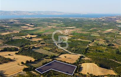 Çanakkale Lapseki Kangırlı Boğaz ve Köprü Manz. 10.060m² Arazi