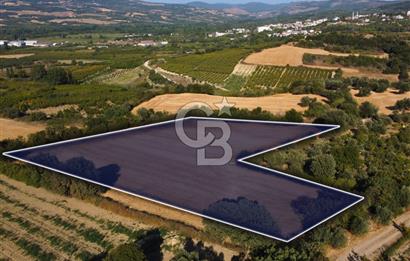 Çanakkale Lapseki Kangırlı Boğaz ve Köprü Manz. 10.060m² Arazi