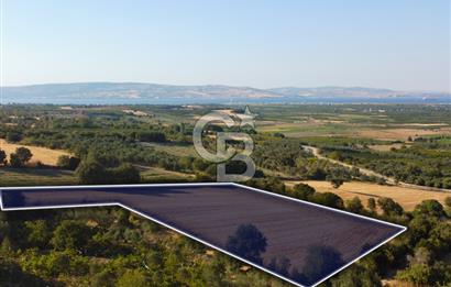 Çanakkale Lapseki Kangırlı Boğaz ve Köprü Manz. 10.060m² Arazi