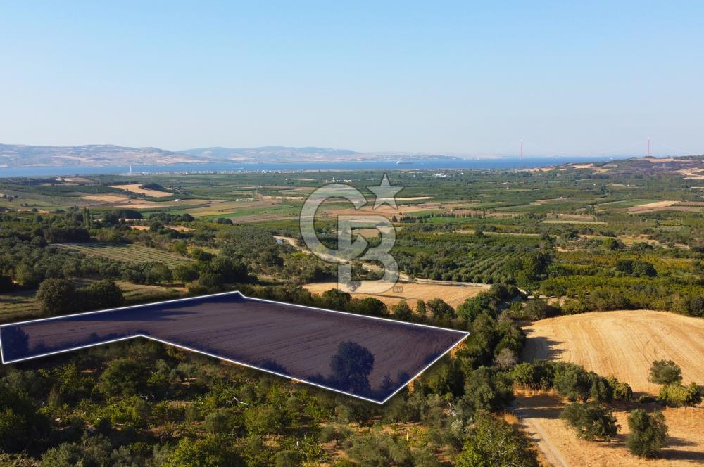 Çanakkale Lapseki Kangırlı Boğaz ve Köprü Manz. 10.060m² Arazi