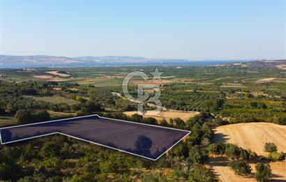Çanakkale Lapseki Kangırlı Boğaz ve Köprü Manz. 10.060m² Arazi