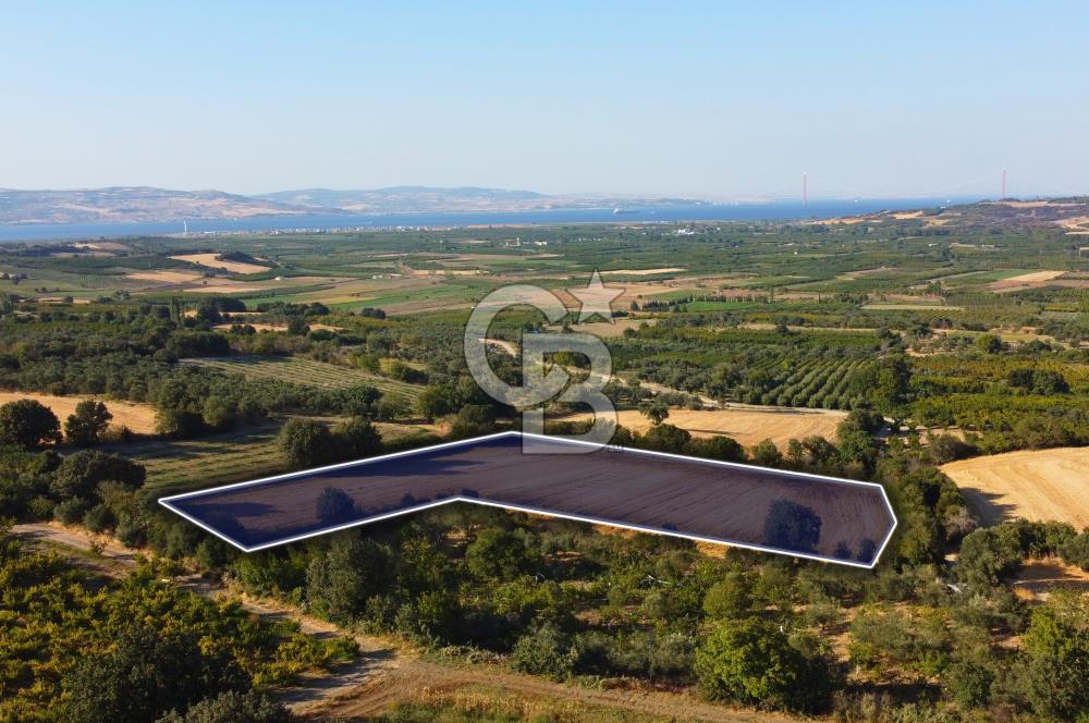 Çanakkale Lapseki Kangırlı Boğaz ve Köprü Manz. 10.060m² Arazi