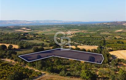 Çanakkale Lapseki Kangırlı Boğaz ve Köprü Manz. 10.060m² Arazi
