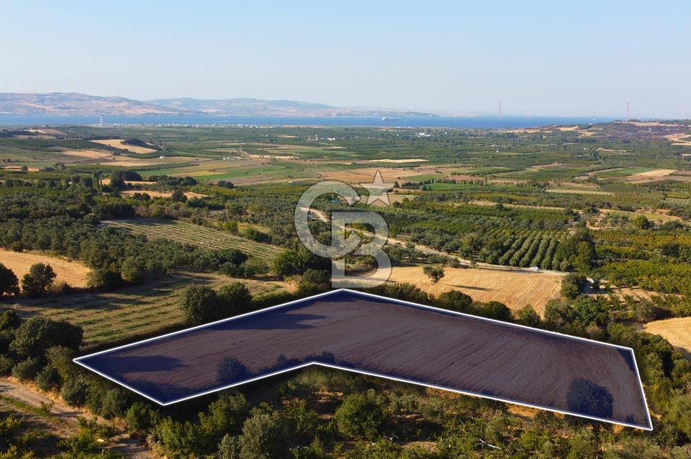 Çanakkale Lapseki Kangırlı Boğaz ve Köprü Manz. 10.060m² Arazi
