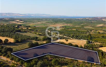 Çanakkale Lapseki Kangırlı Boğaz ve Köprü Manz. 10.060m² Arazi