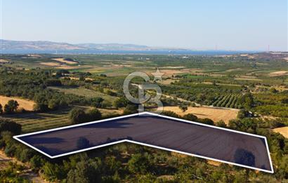 Çanakkale Lapseki Kangırlı Boğaz ve Köprü Manz. 10.060m² Arazi