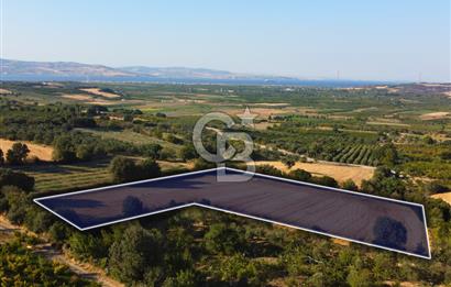 Çanakkale Lapseki Kangırlı Boğaz ve Köprü Manz. 10.060m² Arazi