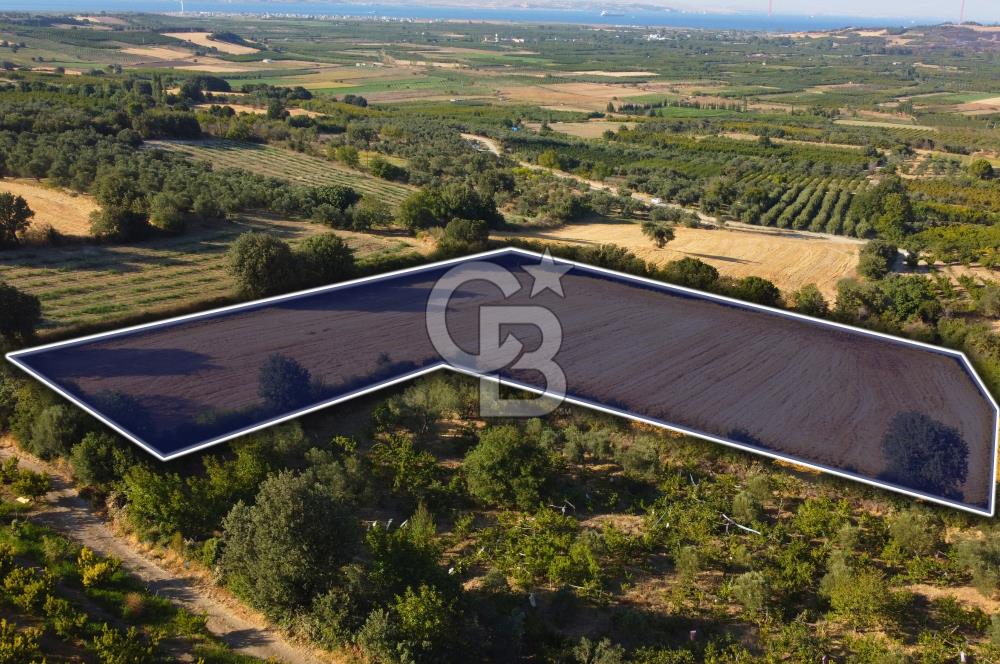 Çanakkale Lapseki Kangırlı Boğaz ve Köprü Manz. 10.060m² Arazi