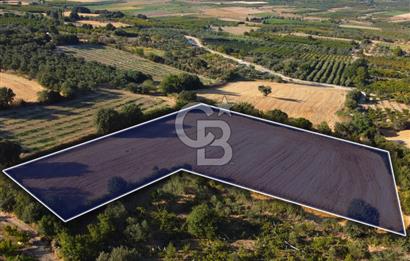 Çanakkale Lapseki Kangırlı Boğaz ve Köprü Manz. 10.060m² Arazi