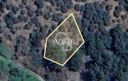 Yola 40 MT Mesafede, 10 Zeytin Ağaçlı Bahçe 
