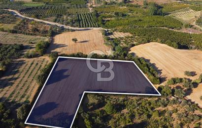 Çanakkale Lapseki Kangırlı Boğaz ve Köprü Manz. 10.060m² Arazi