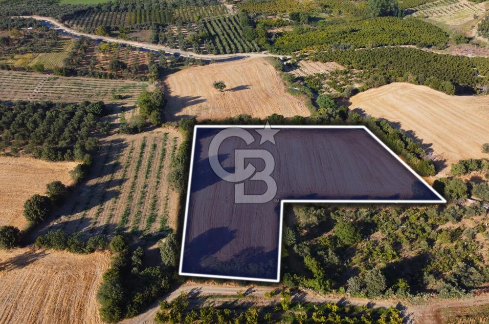 Çanakkale Lapseki Kangırlı Boğaz ve Köprü Manz. 10.060m² Arazi