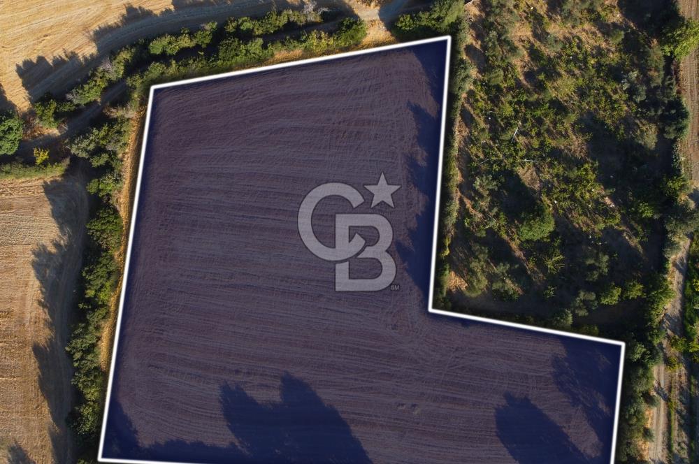 Çanakkale Lapseki Kangırlı Boğaz ve Köprü Manz. 10.060m² Arazi