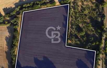 Çanakkale Lapseki Kangırlı Boğaz ve Köprü Manz. 10.060m² Arazi