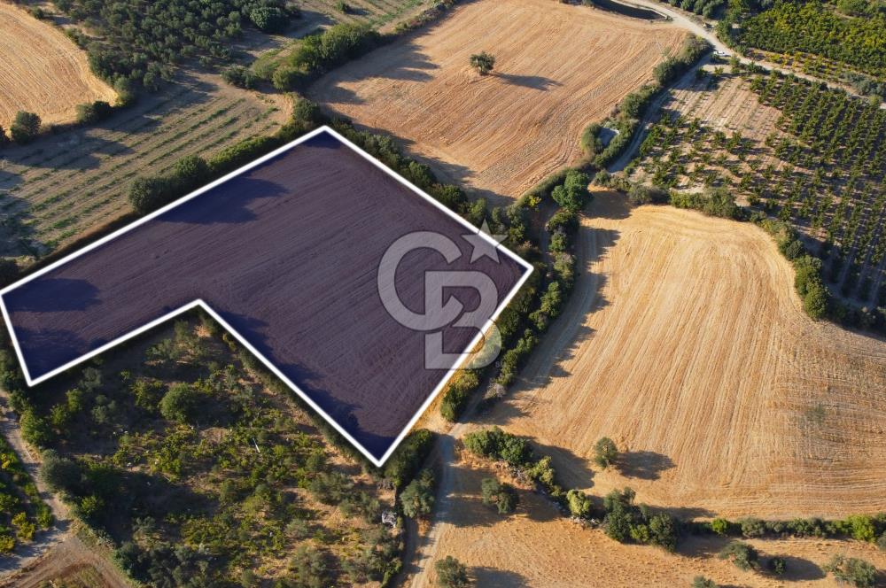 Çanakkale Lapseki Kangırlı Boğaz ve Köprü Manz. 10.060m² Arazi