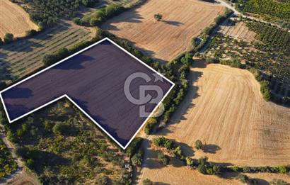 Çanakkale Lapseki Kangırlı Boğaz ve Köprü Manz. 10.060m² Arazi