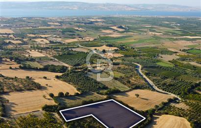 Çanakkale Lapseki Kangırlı Boğaz ve Köprü Manz. 10.060m² Arazi