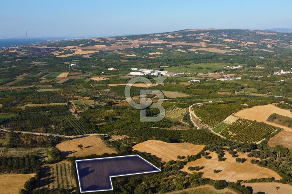 Çanakkale Lapseki Kangırlı Boğaz ve Köprü Manz. 10.060m² Arazi