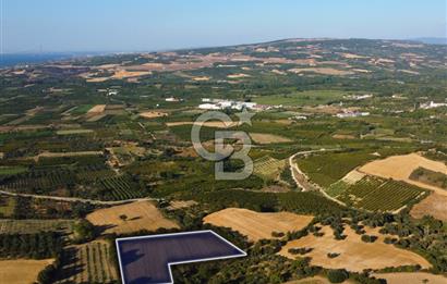 Çanakkale Lapseki Kangırlı Boğaz ve Köprü Manz. 10.060m² Arazi
