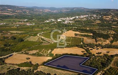 Çanakkale Lapseki Kangırlı Boğaz ve Köprü Manz. 10.060m² Arazi