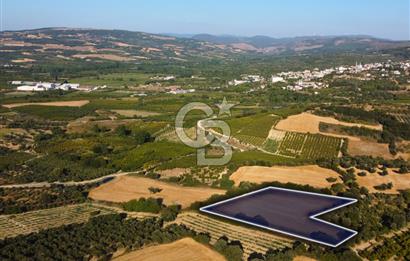 Çanakkale Lapseki Kangırlı Boğaz ve Köprü Manz. 10.060m² Arazi