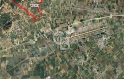 Toprakocak'ta Yüksek kira getirili muhteşem tarla. 15000m2.