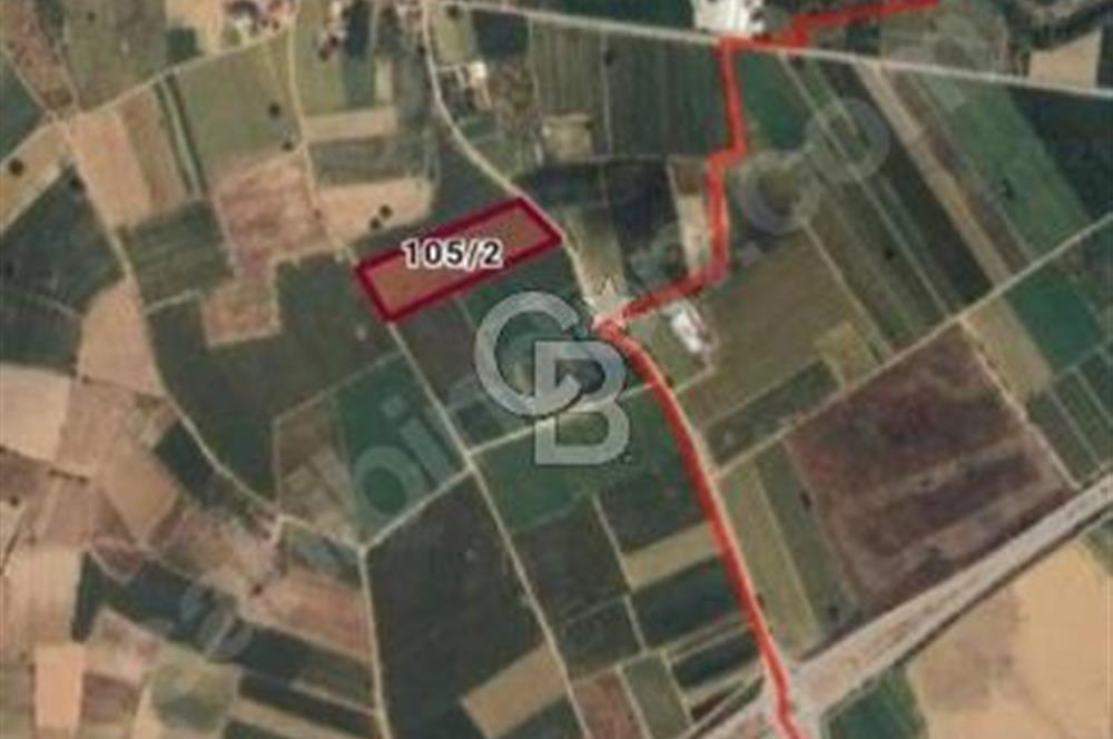 Toprakocak'ta Yüksek kira getirili muhteşem tarla. 15000m2.