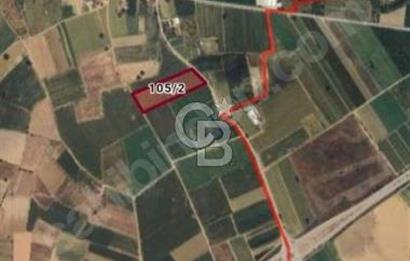 Toprakocak'ta Yüksek kira getirili muhteşem tarla. 15000m2.