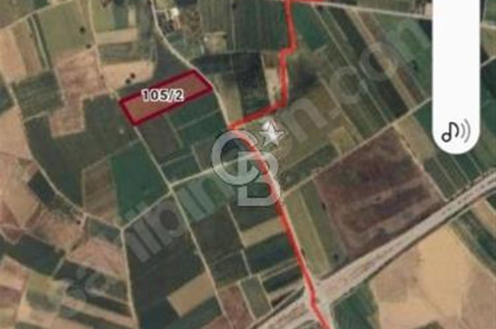Toprakocak'ta Yüksek kira getirili muhteşem tarla. 15000m2.