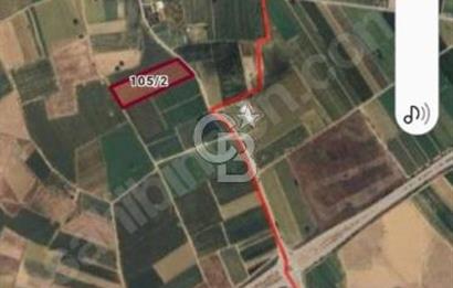 Toprakocak'ta Yüksek kira getirili muhteşem tarla. 15000m2.