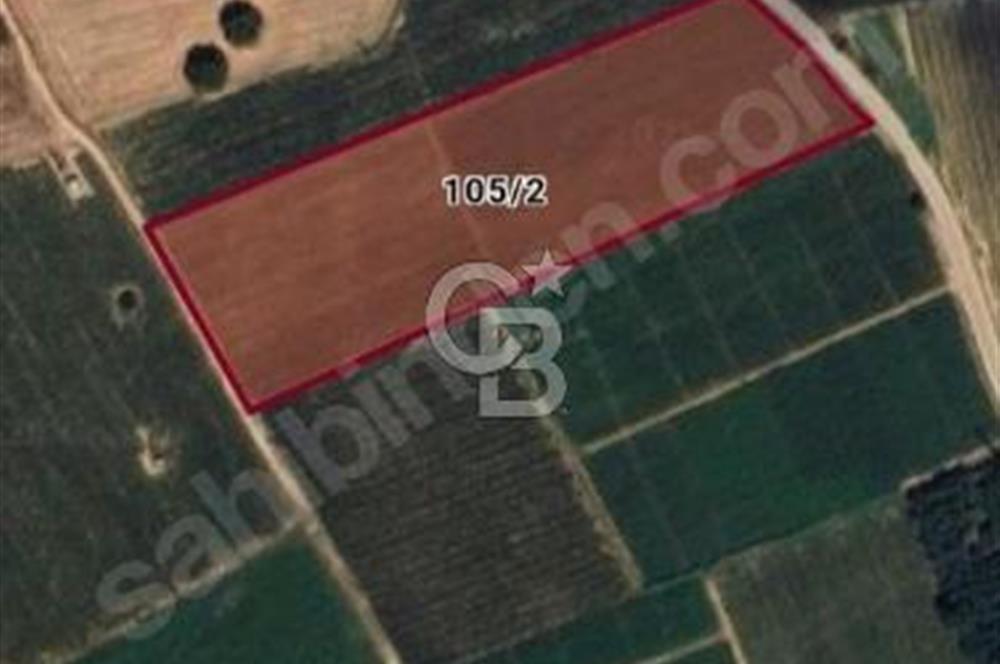 Toprakocak'ta Yüksek kira getirili muhteşem tarla. 15000m2.