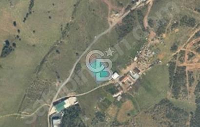 Ticari imarlı çok kupon arsa. Pelitli fuar alanında. 2000m2