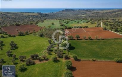 Ezine Tavaklıda Deniz Manzaralı Zeytinlik! Yatırıma Uygun kupon