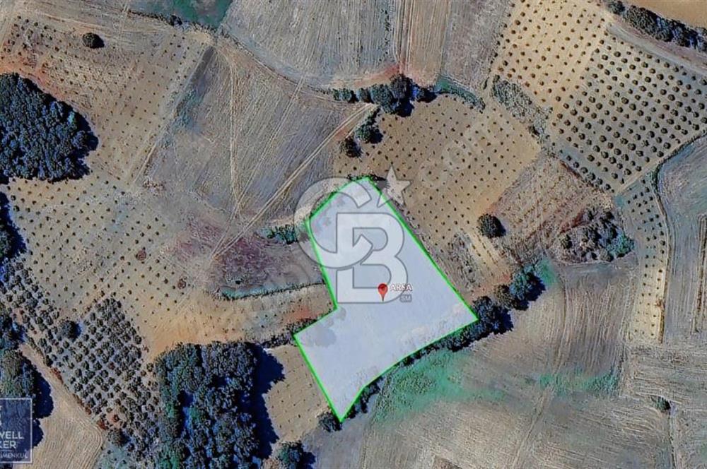 KANDIRA MÜLKÜŞEHSUVAR 4.821 M2 YOLU OLAN %5 İMARLI TARLA