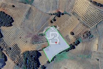 KANDIRA MÜLKÜŞEHSUVAR 4.821 M2 YOLU OLAN %5 İMARLI TARLA