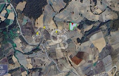 KANDIRA MÜLKÜŞEHSUVAR 4.821 M2 YOLU OLAN %5 İMARLI TARLA