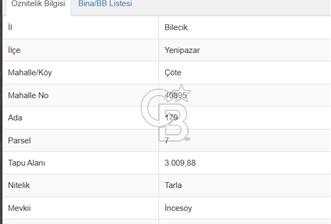 BİLECİK YENİPAZAR ÇÖTE MAHALLESİ YOL KENARI SATILIK TARLA