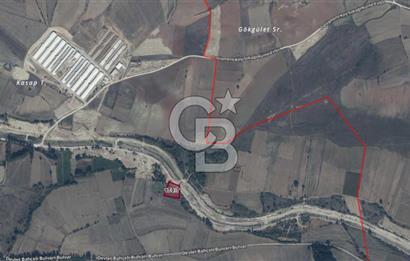 BİLECİK YENİPAZAR ÇÖTE MAHALLESİ YOL KENARI SATILIK TARLA