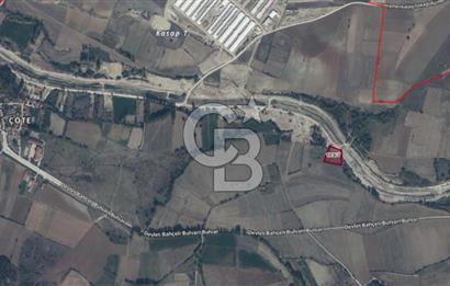 BİLECİK YENİPAZAR ÇÖTE MAHALLESİ YOL KENARI SATILIK TARLA