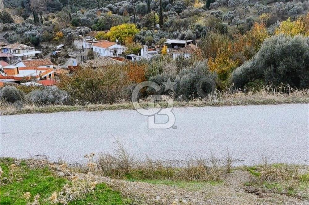 Kemalpaşa örende 14 dönüm